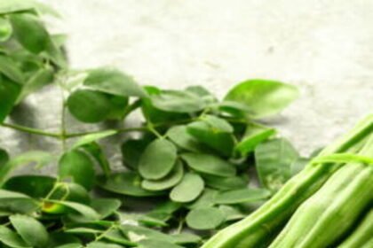 Healthy vegetable- moringa fruit and leaves on vintage background