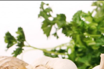 lahsun-adrak-in-fridge-04-10-2024-1728024424