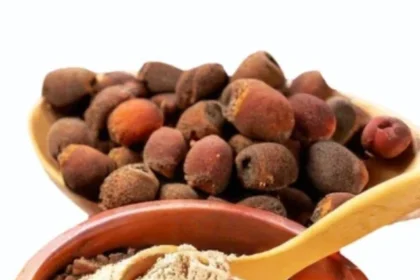 organic-reetha-powder-500x500