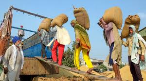 uttar pradesh dhan kharidi