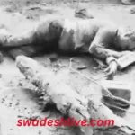 bjp-leader-akshay-garg-murder-katghora-korba