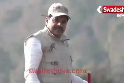 kuno-cheetah-veera-two-cubs-successful-release-madhya-pradesh-news