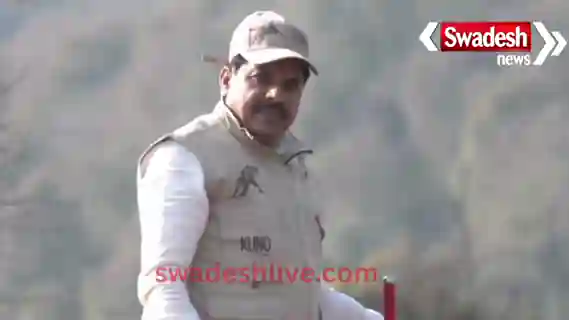 kuno-cheetah-veera-two-cubs-successful-release-madhya-pradesh-news