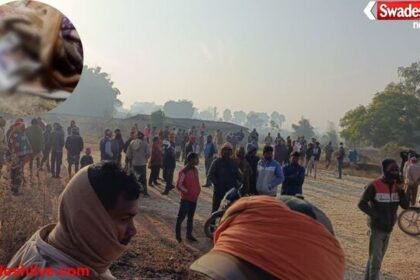 सूरजपुर: हाथी के हमले में पांच माह के मासूम की मौत, गांव में दहशत