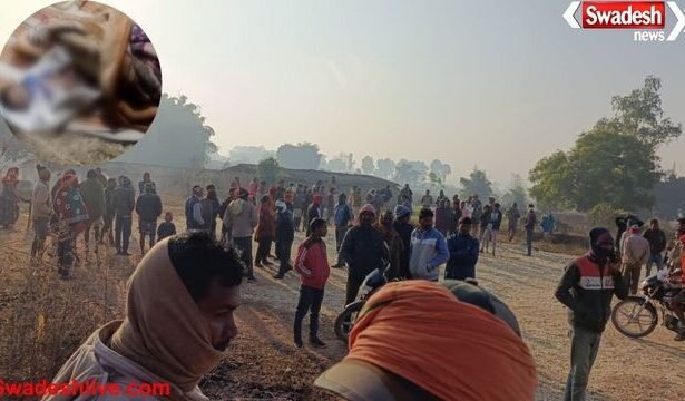 सूरजपुर: हाथी के हमले में पांच माह के मासूम की मौत, गांव में दहशत