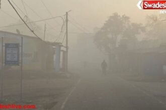 मध्य प्रदेश में कड़ाके की ठंड, तीन दिन शीतलहर का अलर्ट: पारा 5 डिग्री से नीचे गिरा, शहडोल में सबसे ज्यादा सर्दी