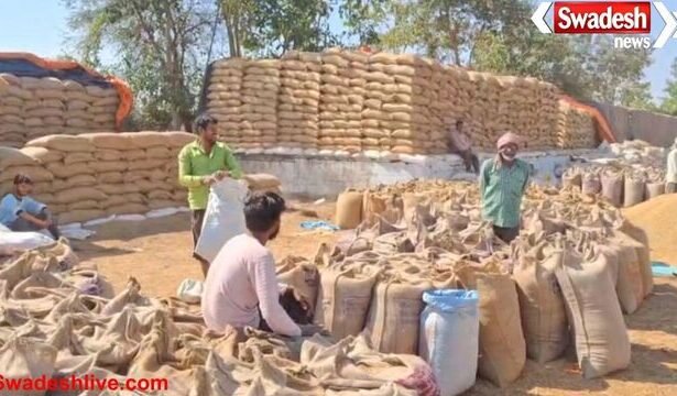 बेमेतरा में धान खरीदी जारी, परिवहन और टोकन की समस्या से समितियों में परेशानी