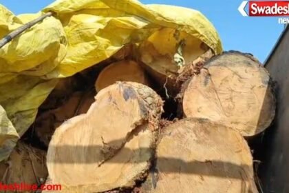 बलरामपुर: रामानुजगंज में अवैध साल लट्ठा तस्करी का भंडाफोड़, ट्रक जप्त