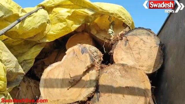 बलरामपुर: रामानुजगंज में अवैध साल लट्ठा तस्करी का भंडाफोड़, ट्रक जप्त