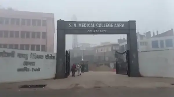 Agra Medical College Dogs