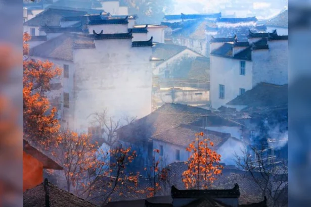 अजीबोगरीब