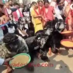 CongressProtest 20 January