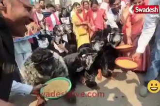 CongressProtest 20 January