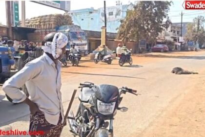 Gariaband Road Accident