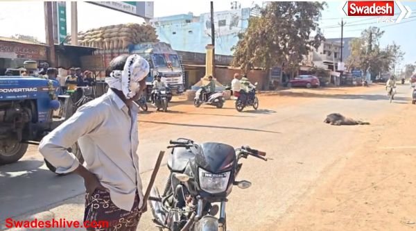 Gariaband Road Accident