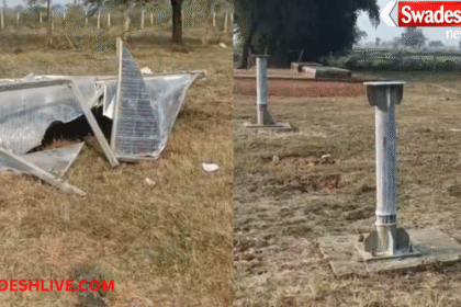 Government Property Damage