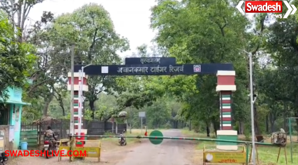 Mungeli District Tiger News