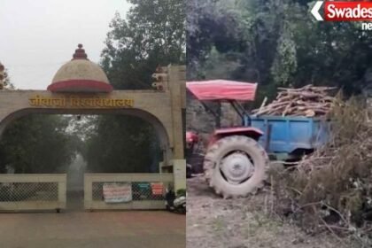Jiwaji University tree cutting