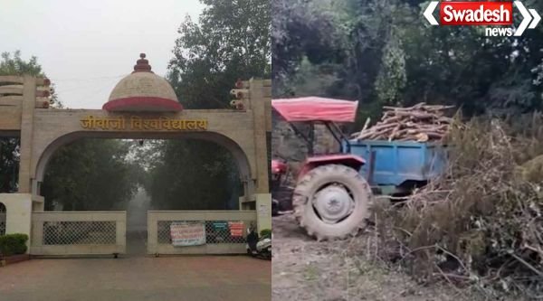 Jiwaji University tree cutting