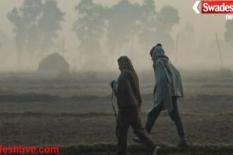 MP Cold Weather Update