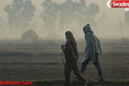 MP Cold Weather Update