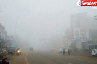 MP Dense Fog