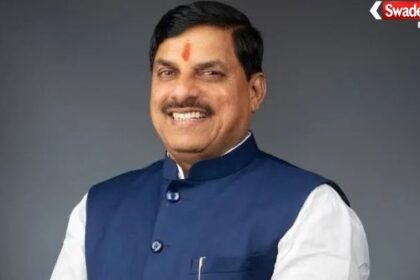 MP Export Performance