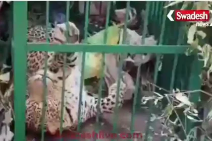 ChamoliPanchayat 27 January