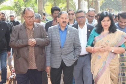 National PNG Drive 2.0