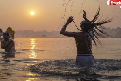 Shattila Ekadashi 2026