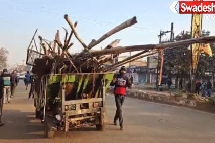 Supela Sunday Market