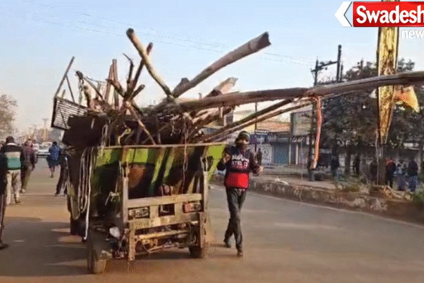 Supela Sunday Market