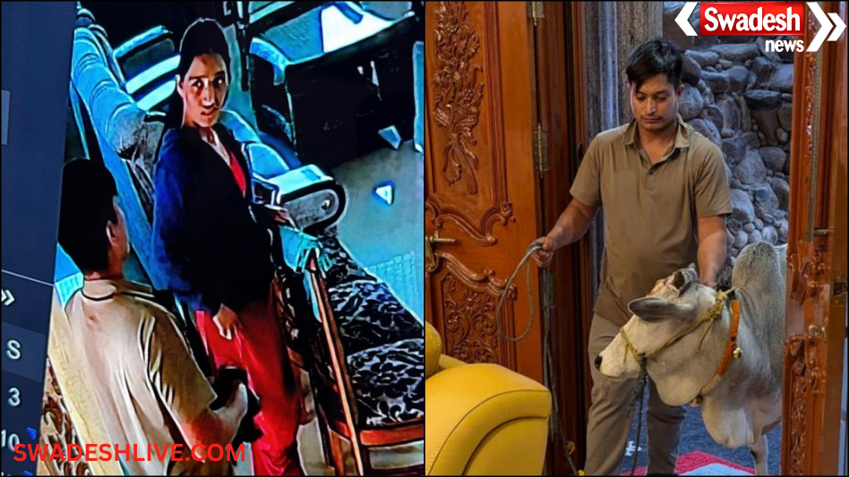 Bengaluru Gold Theft