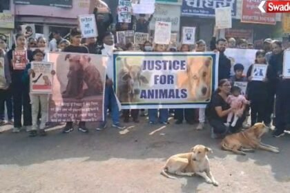 Stray dogs protest Sagar