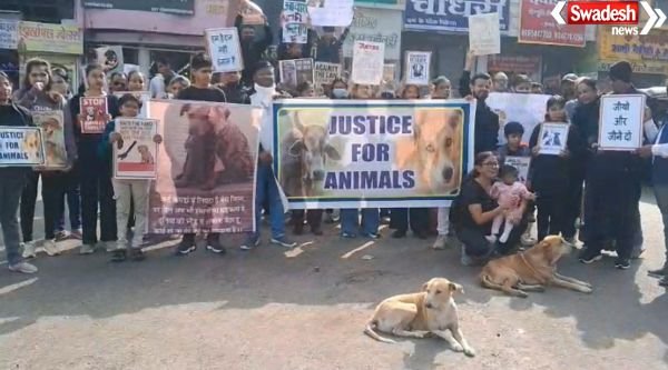 Stray dogs protest Sagar