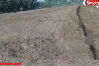 Pilibhit