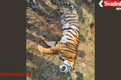 Tiger Death