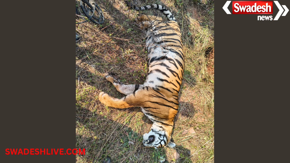 Tiger Death