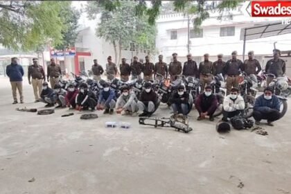 Vehicle Theft Gang Arrest