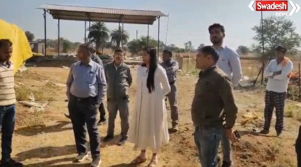 Deputy Collector action