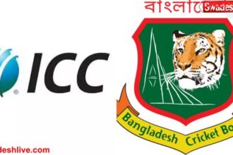 ICC Decision