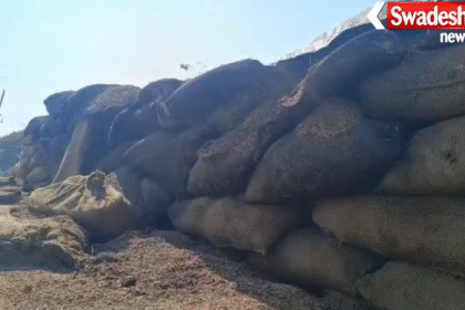 Chhattisgarh Grain Spoilage