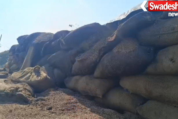 Chhattisgarh Grain Spoilage