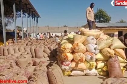 Korba Paddy Procurement