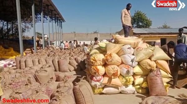 Korba Paddy Procurement