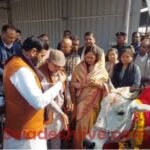 Haryana News 25 January