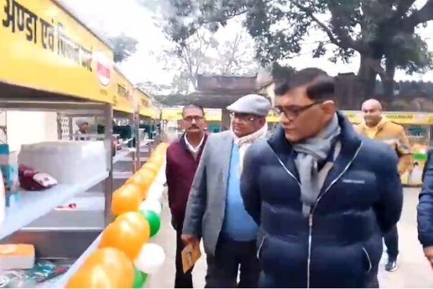 Poultry Business in Pilibhit: Promotion of poultry business in Pilibhit