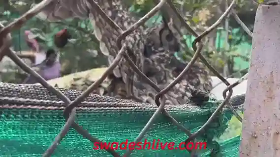 chhatarpur news 13 january