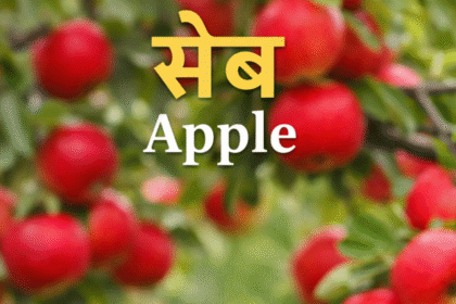 ChatGPT Image Jan 7, 2026, 07_05_39 PM