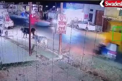 Ambikapur Hit-and-Run